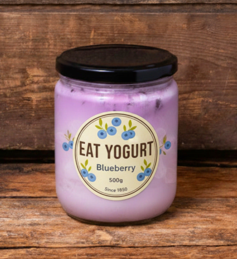 BLUEBERRY GREEK YOGURT 浓郁蓝莓干噎酸奶