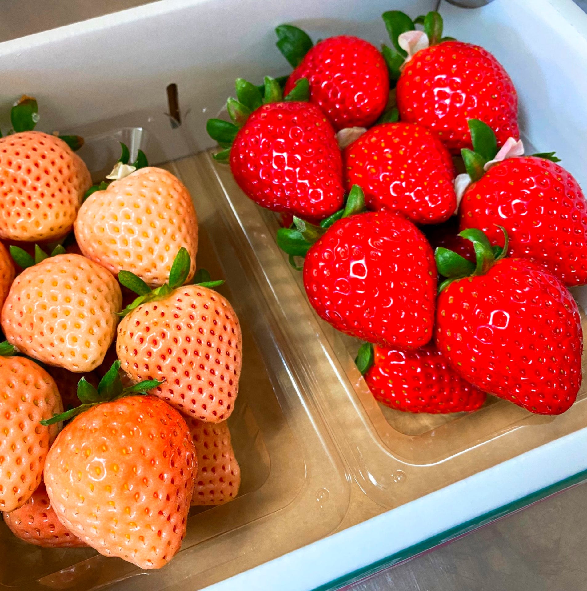 GREEK YOGURT & JAPANESE STRAWBERRIES