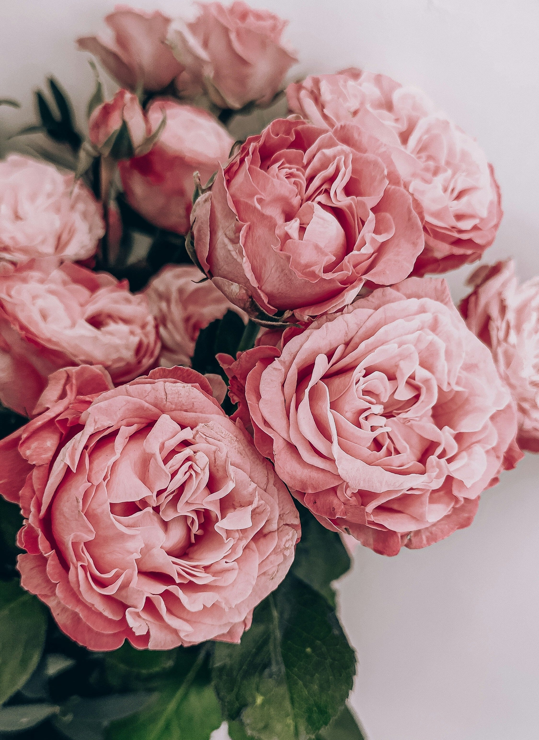 ZERO ROSÉ LUMIÈRE
